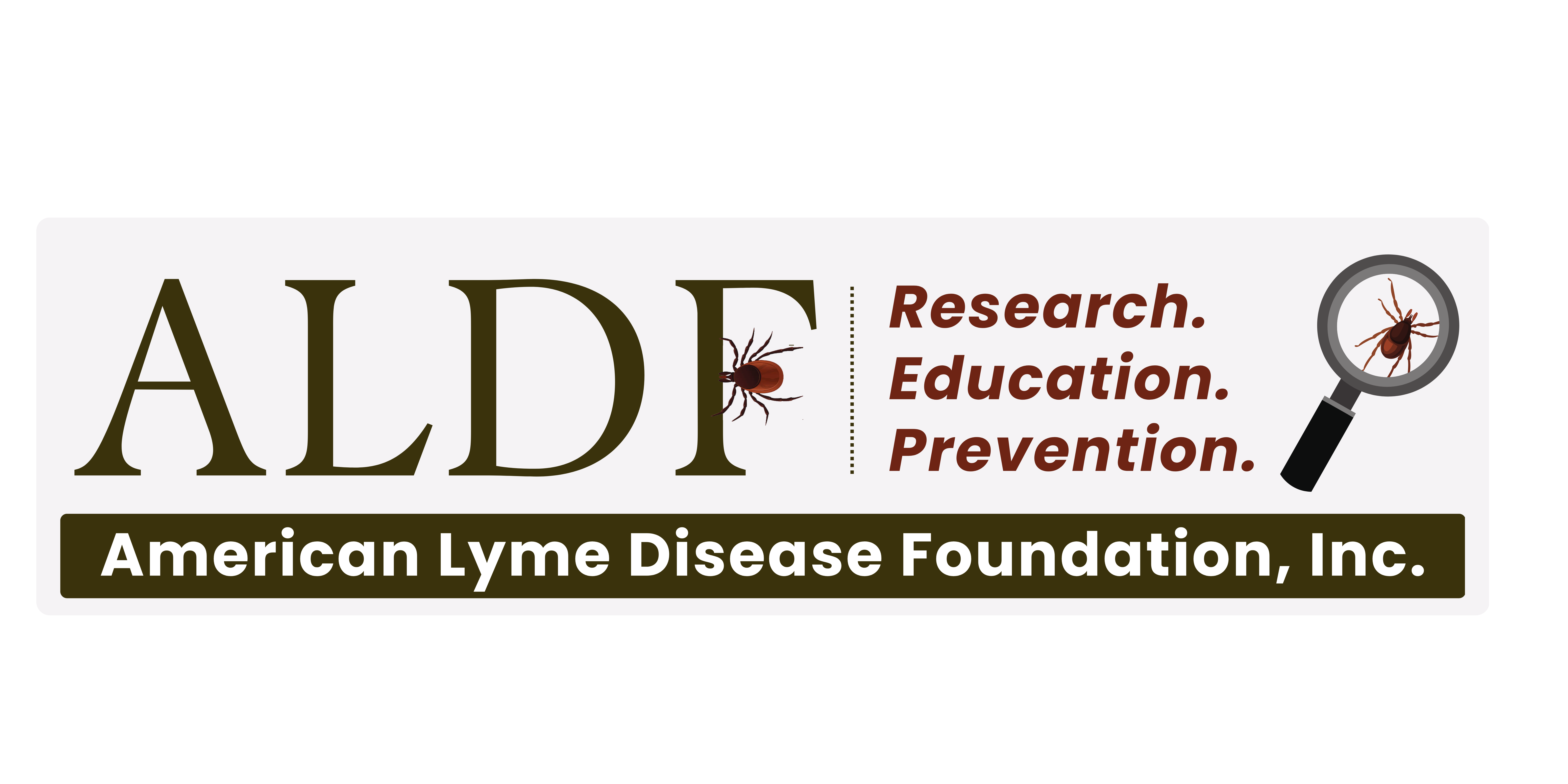Misinformation About Lyme Disease American Lyme Disease Foundation