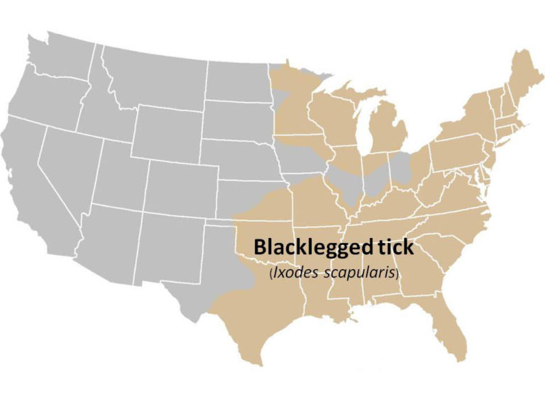 black-legged tick distribution