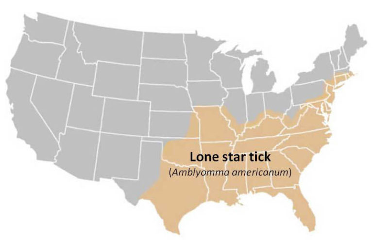 Lone Star Tick Range